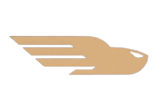 جناح السرعة